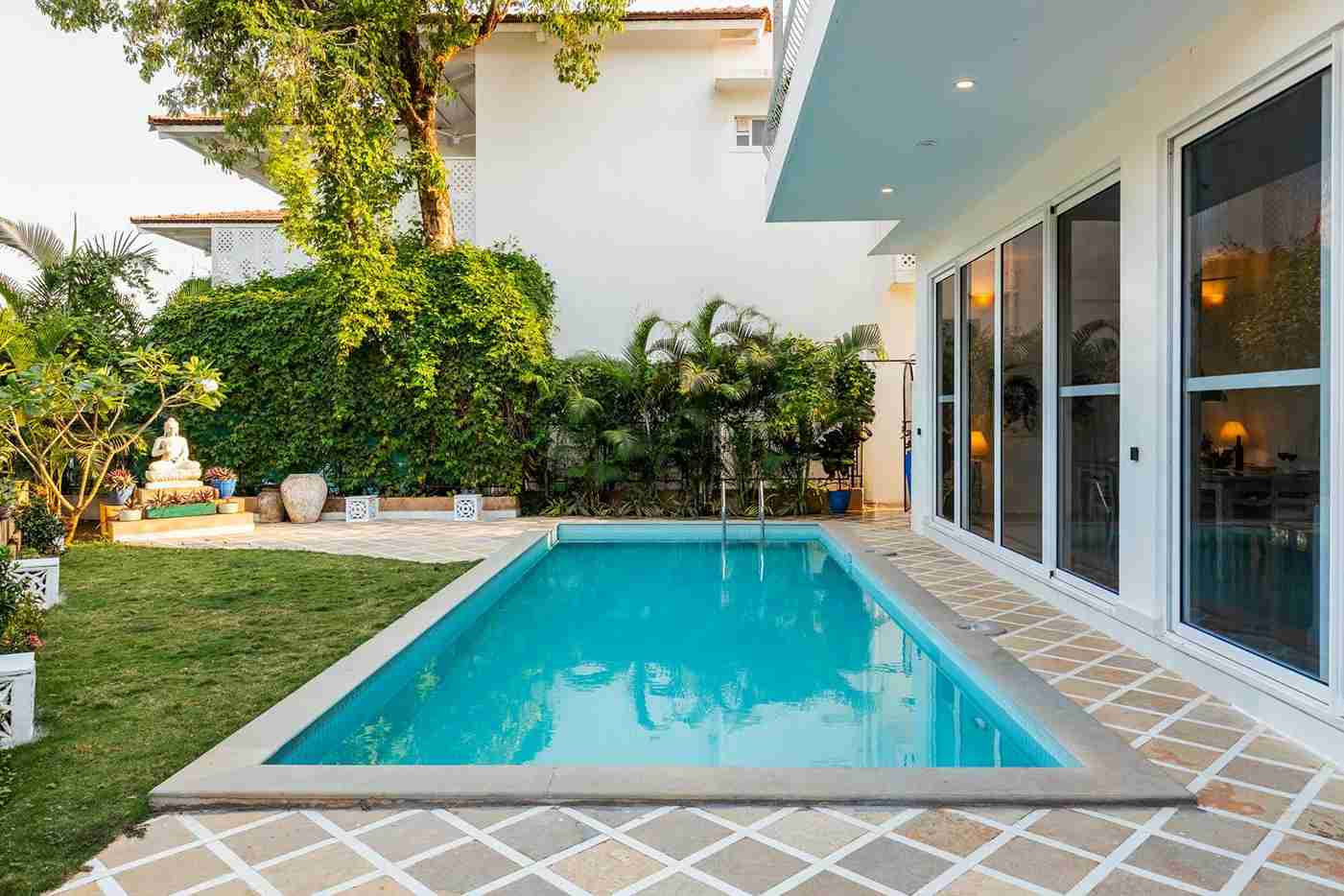 Aroha palms magnifica