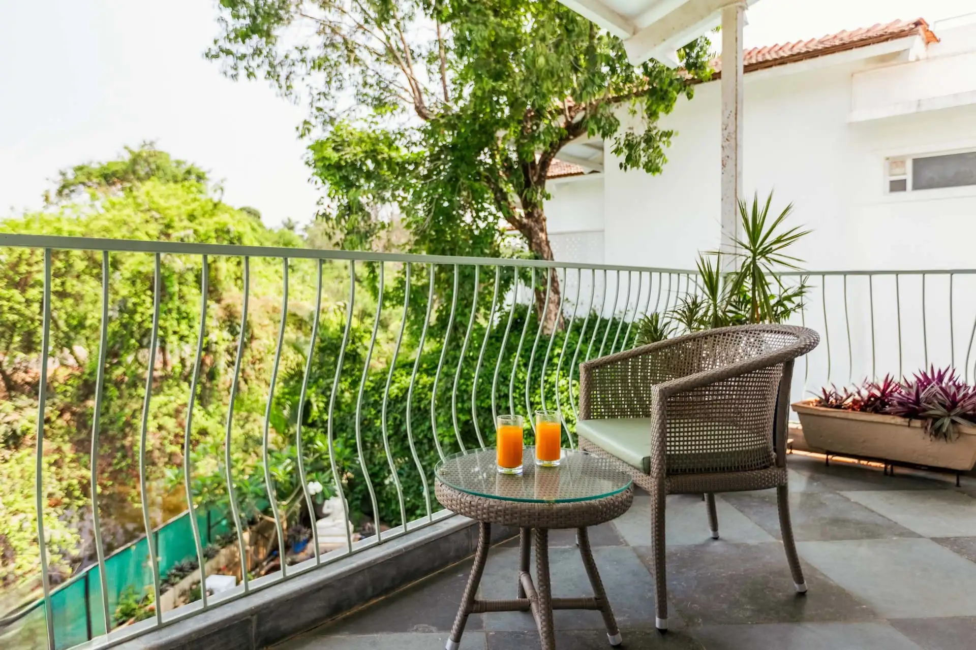 Aroha palms magnifica