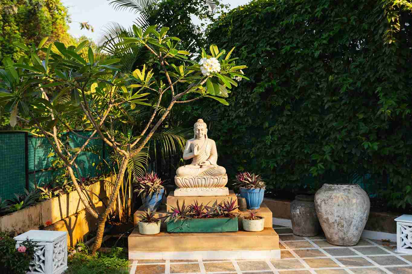 Aroha palms magnifica