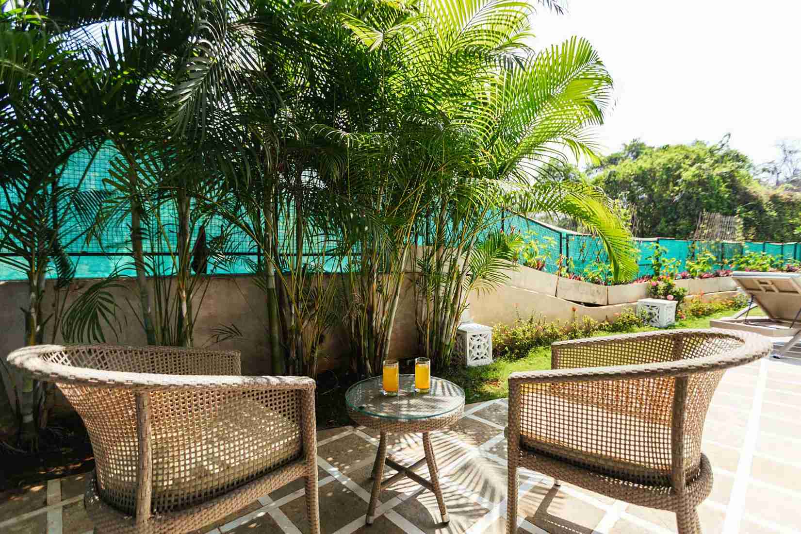 Aroha palms magnifica