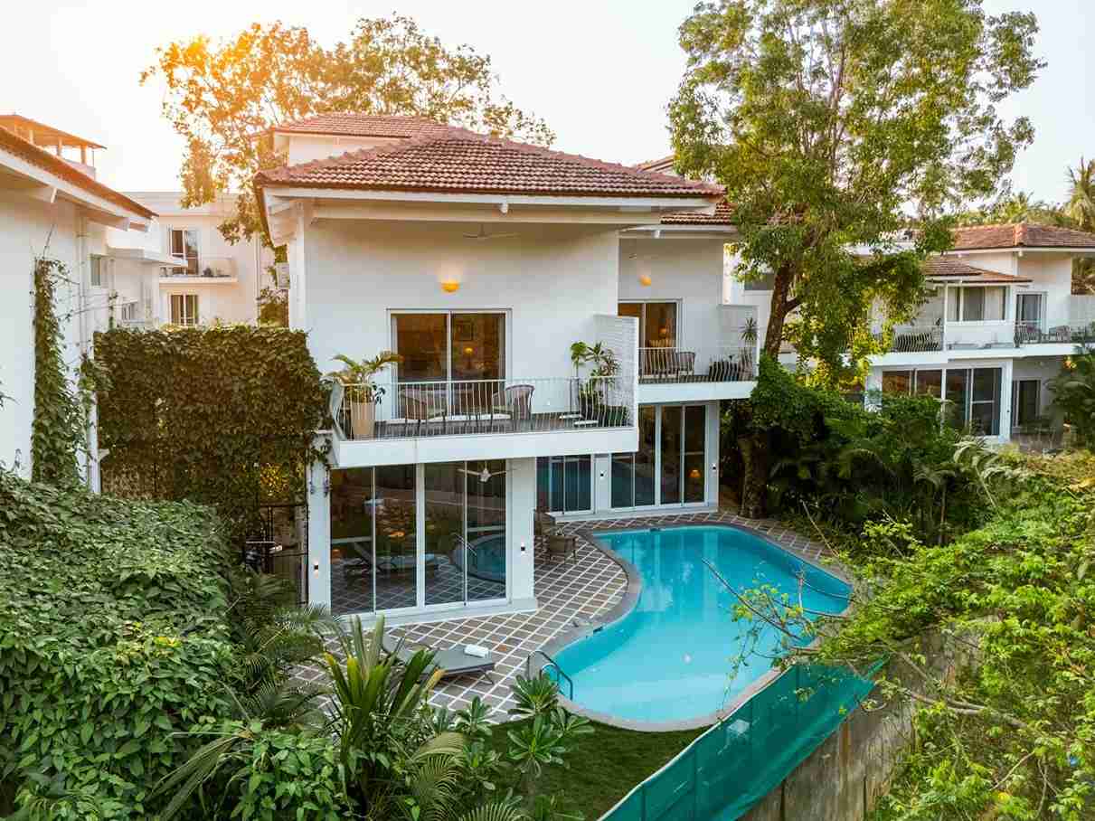 Aroha Palms Paradiso