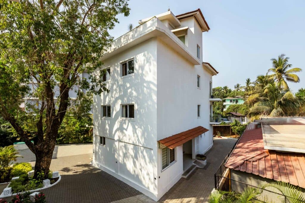 Aroha Palms Prana